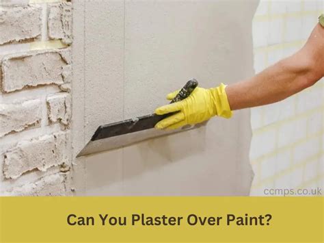 Can You Paint Plaster Walls? Exploring the Possibilities and Beyond