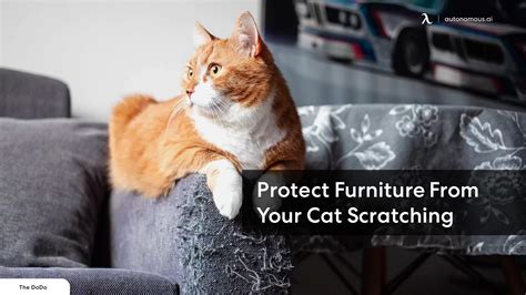 How to Protect Furniture from Cats: A Comprehensive Guide to Feline-Proofing Your Home